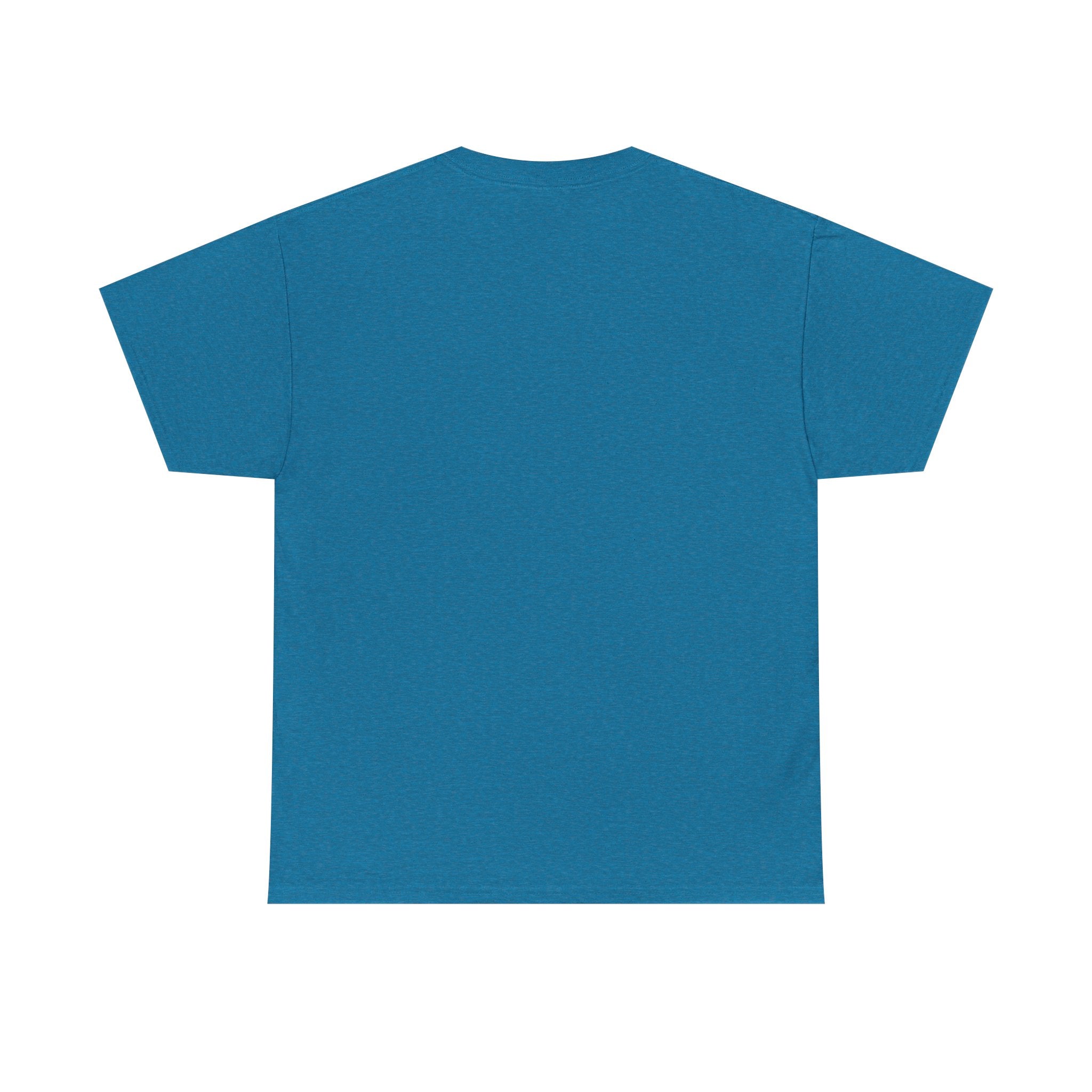 Salt of the Earth logo, Unisex Heavy Cotton Tee