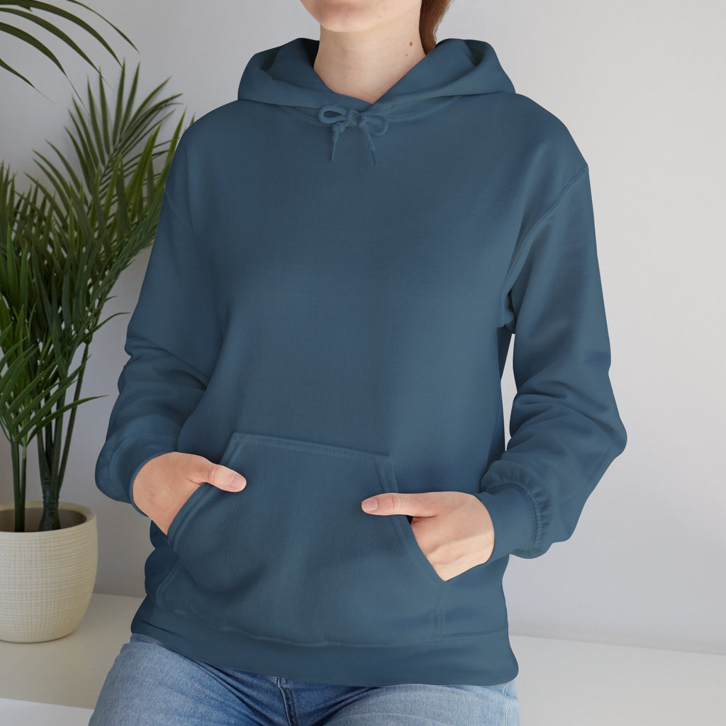 Salt of the South logo Hoodie