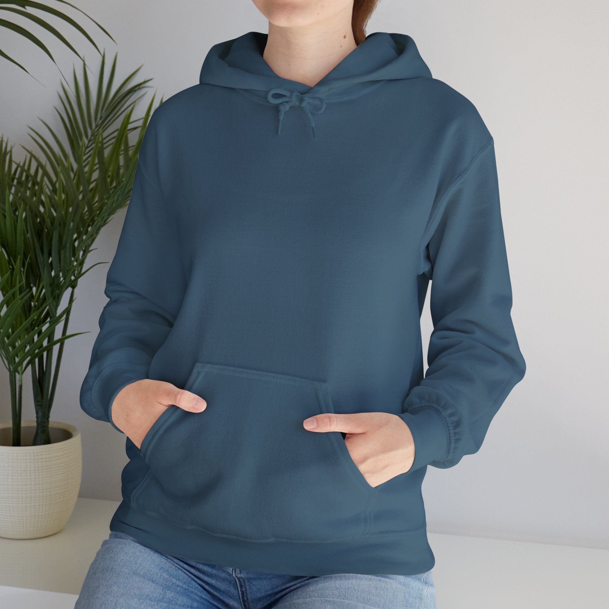 Salt of the South logo Hoodie