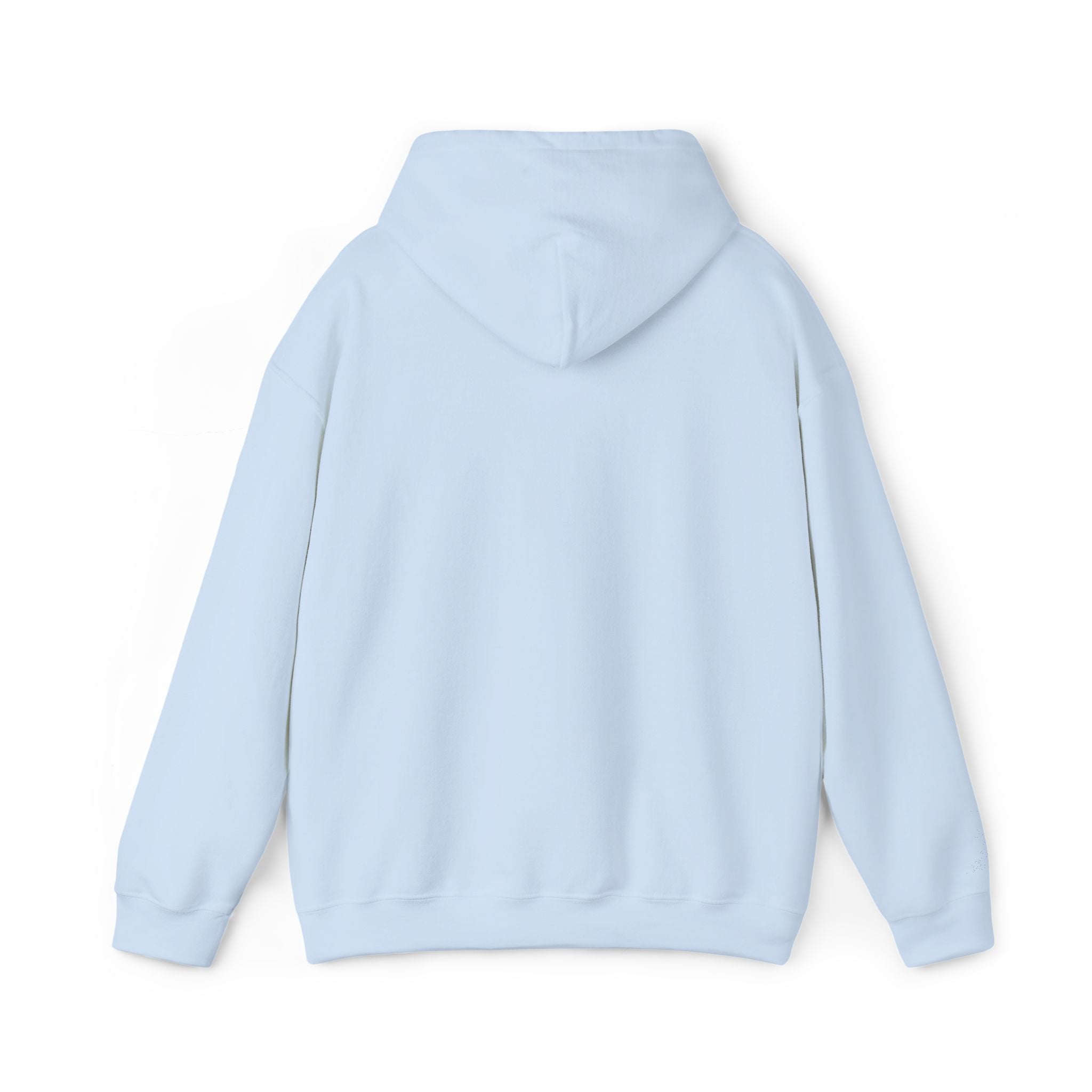Salt of the South logo Embroidered Hoodie