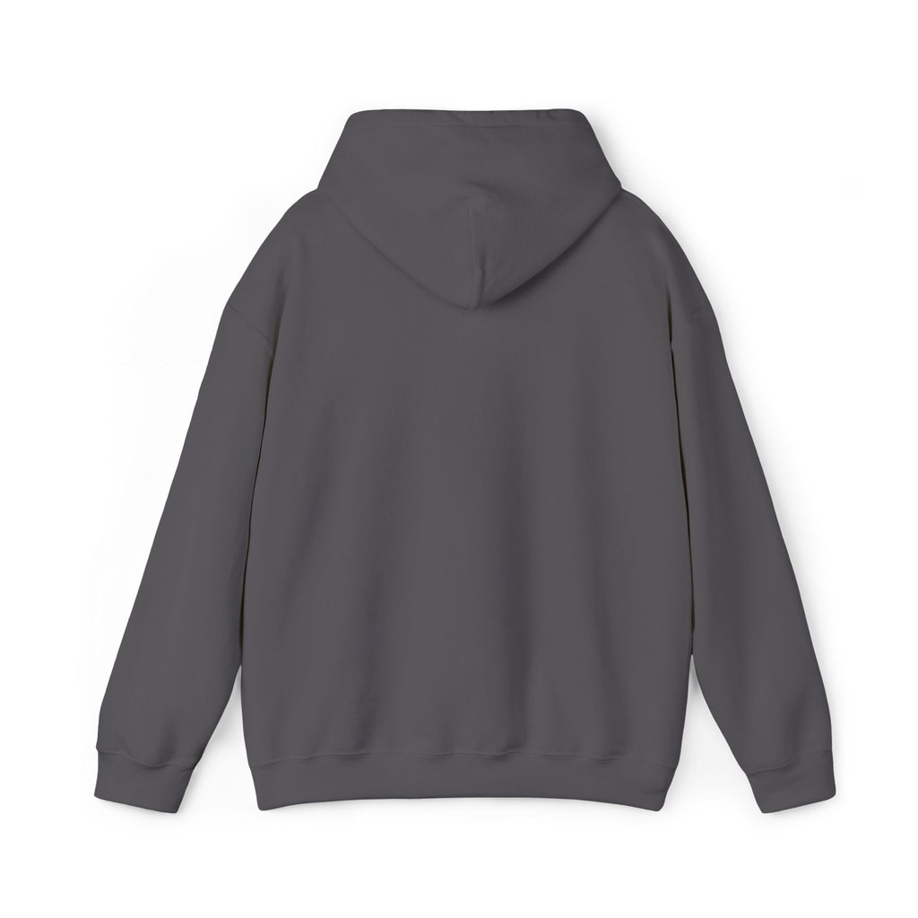Salt of the South logo Embroidered Hoodie