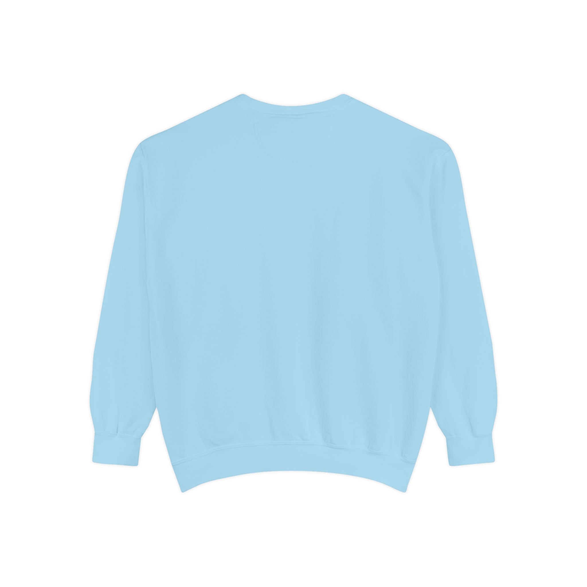 Salt of the South logo, Embroidered Crewneck Sweatshirt
