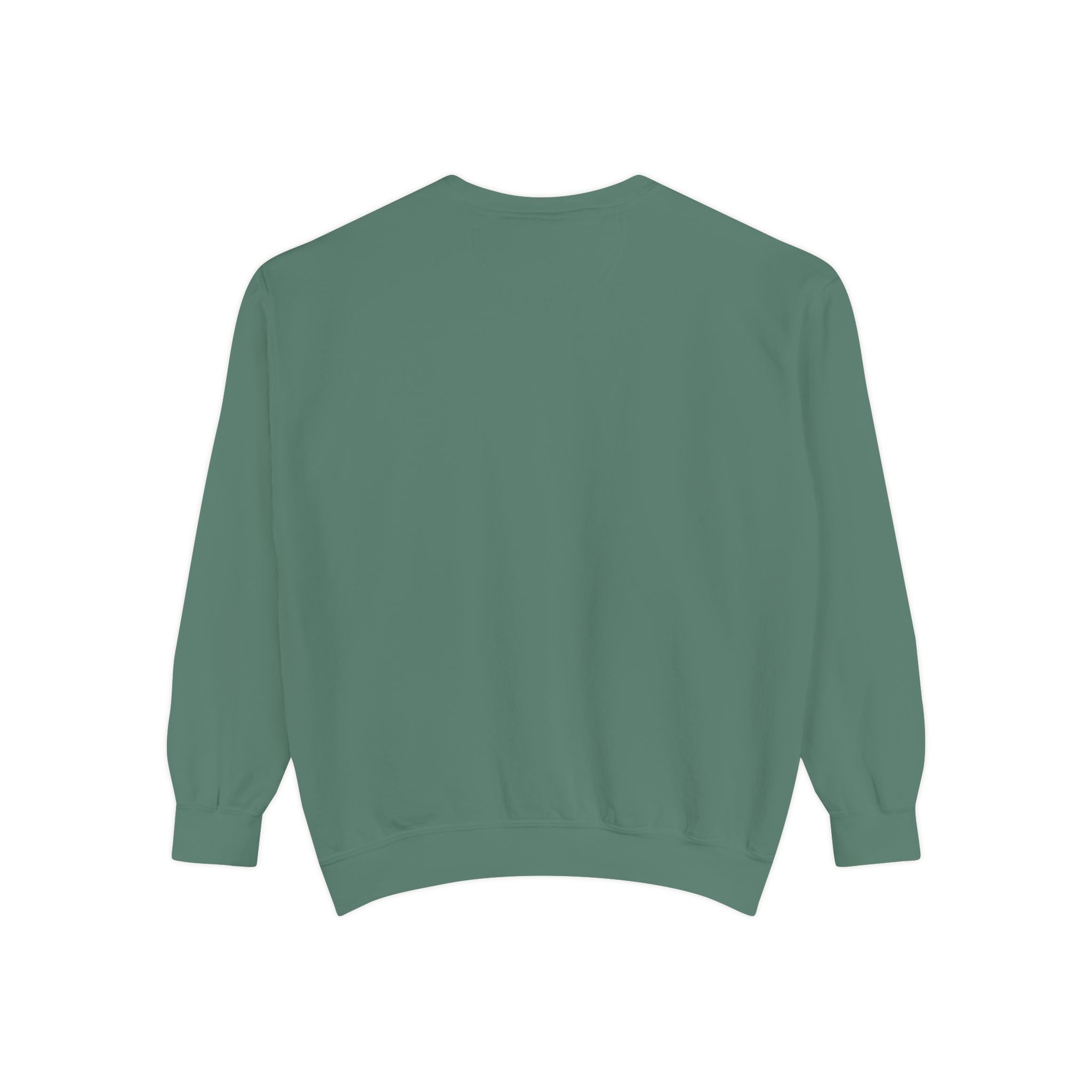 Salt of the South logo, Embroidered Crewneck Sweatshirt