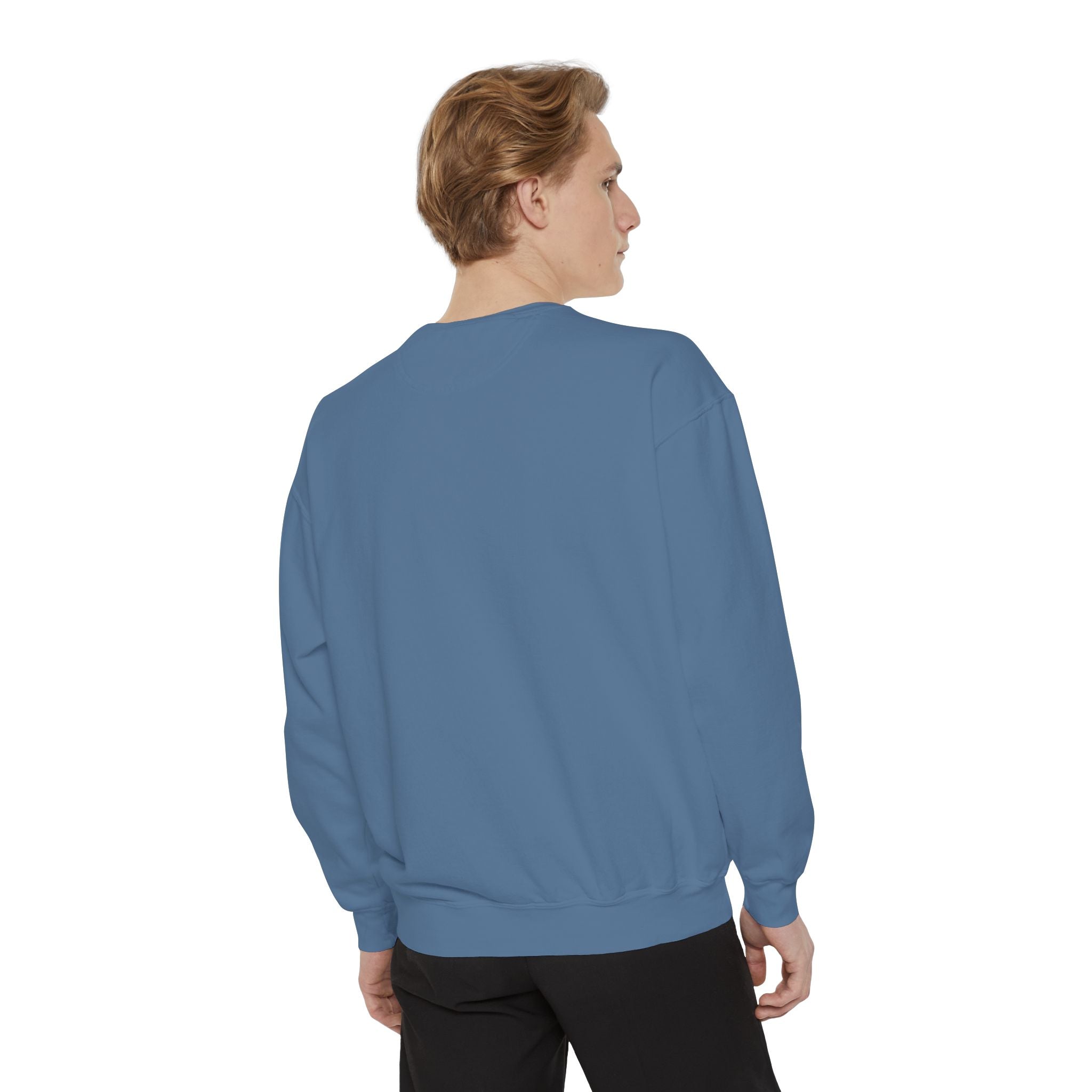 Salt of the South logo, Embroidered Crewneck Sweatshirt