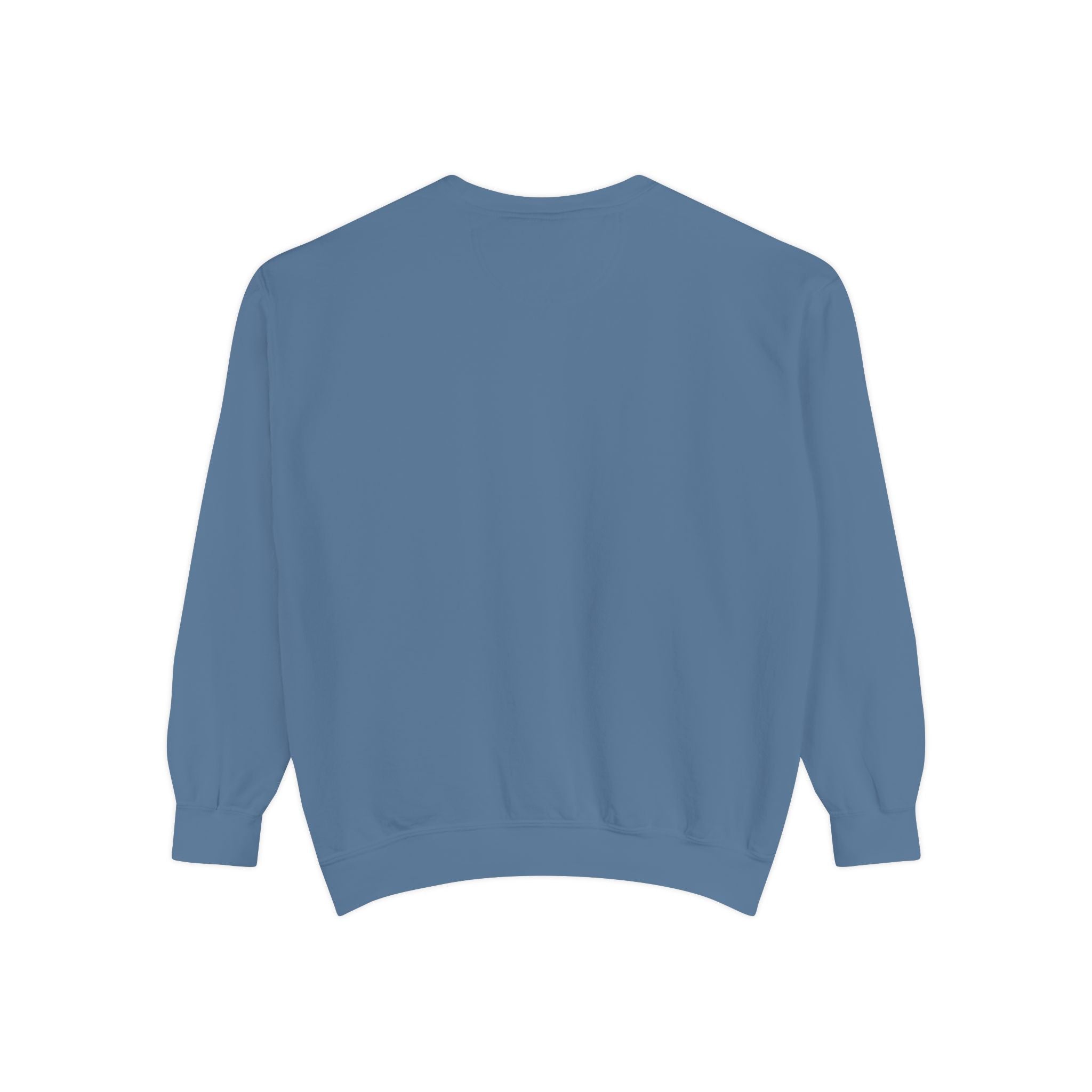 Salt of the South logo, Embroidered Crewneck Sweatshirt