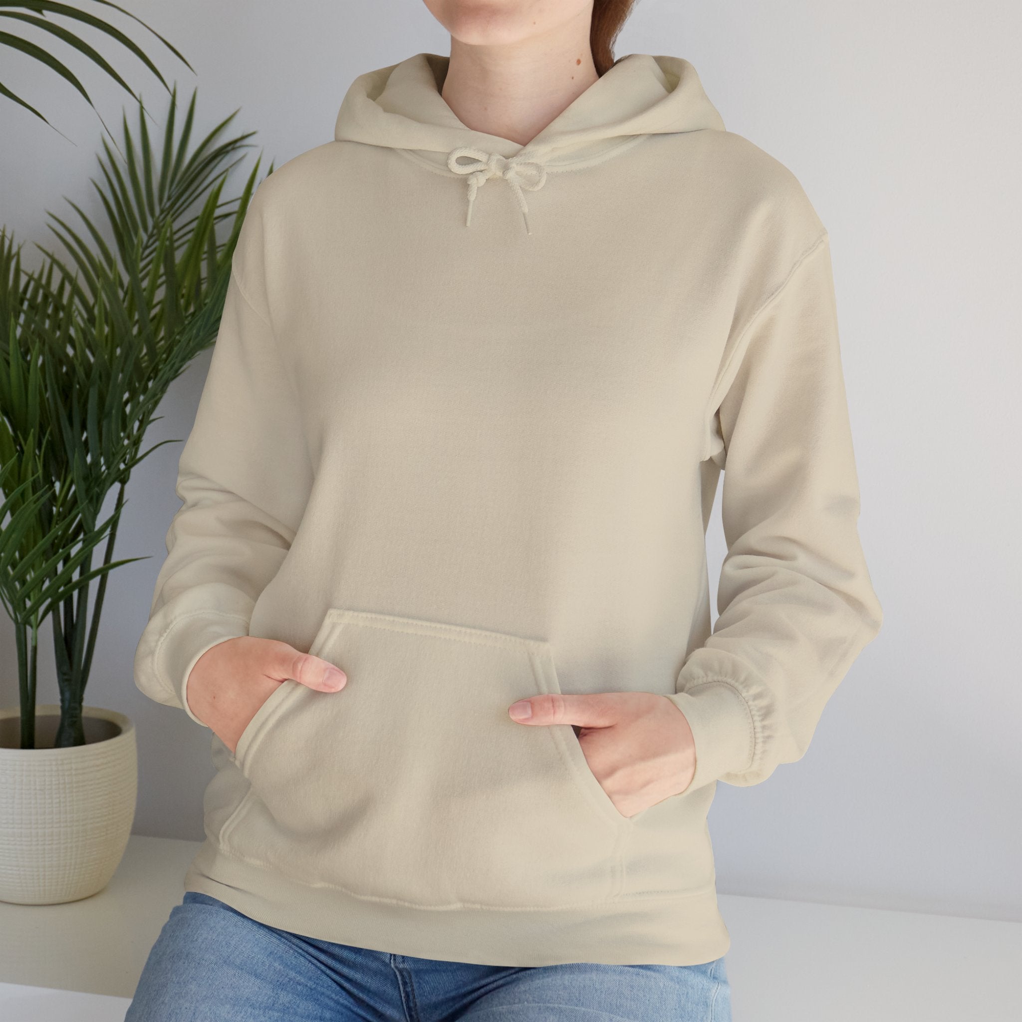 Salt of the South logo Hoodie