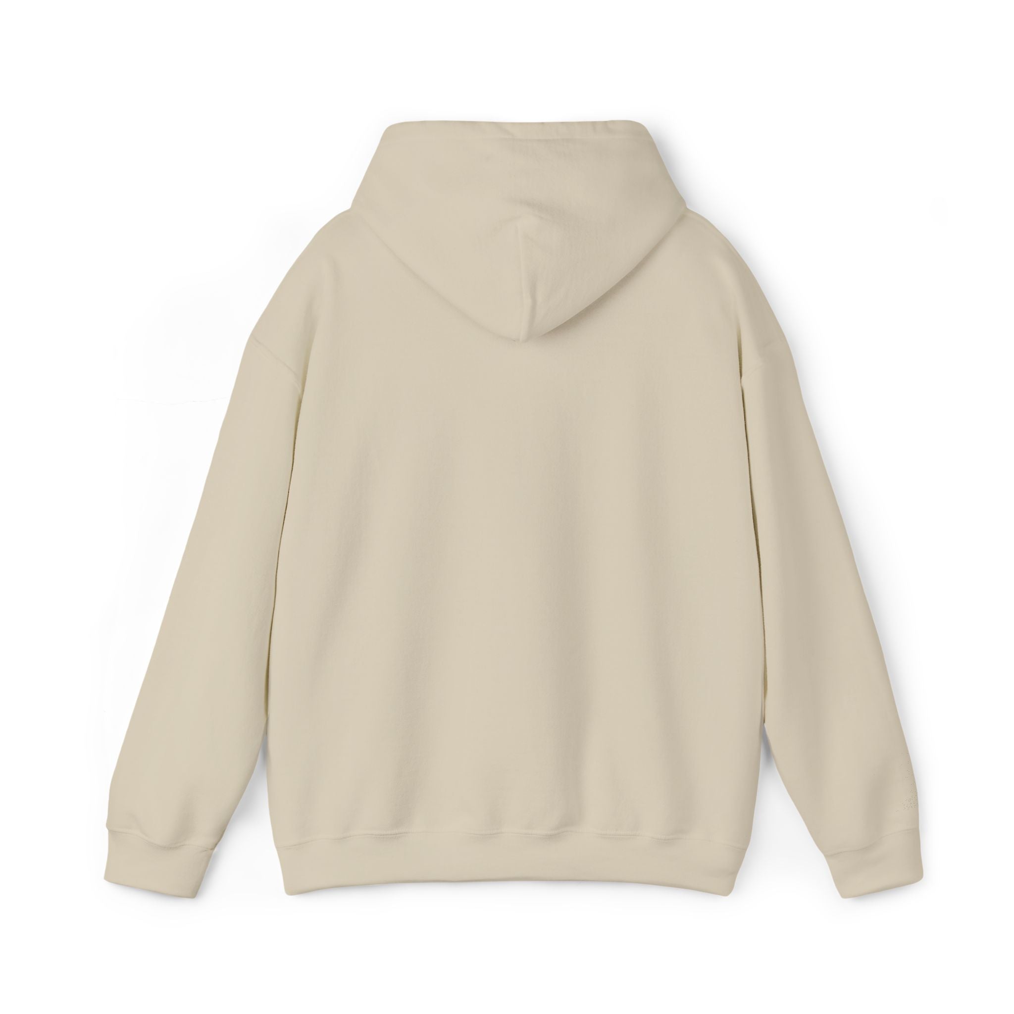 Salt of the South logo Embroidered Hoodie