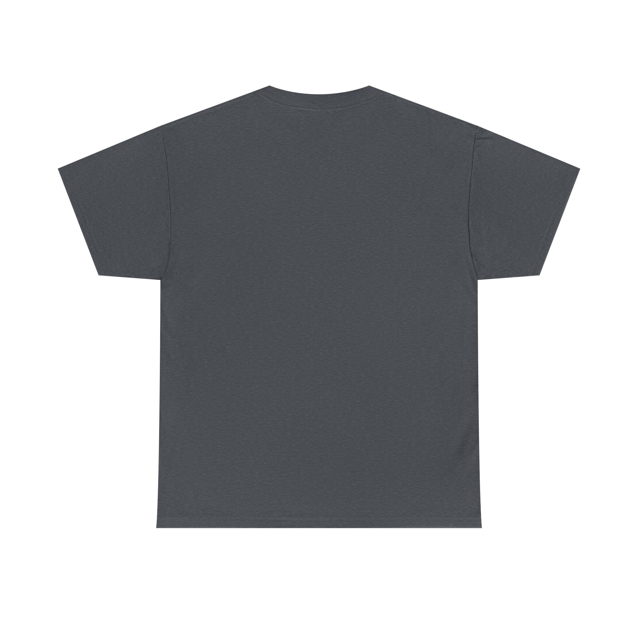 Salt of the Earth logo, Unisex Heavy Cotton Tee