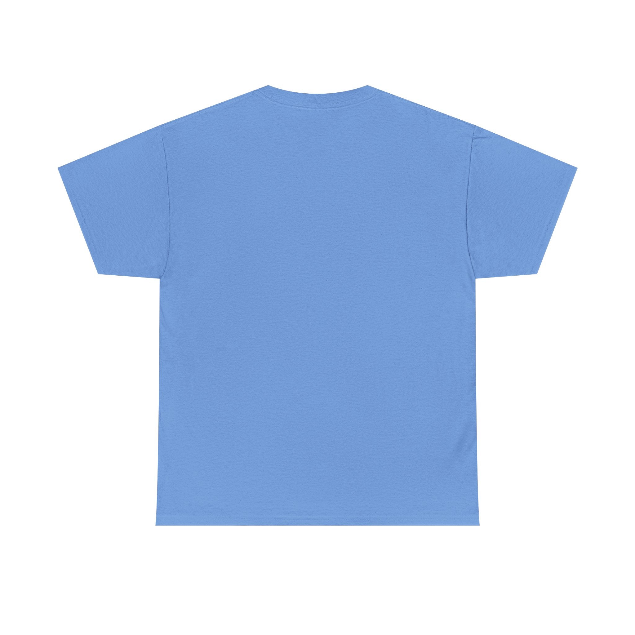 Salt of the Earth logo, Unisex Heavy Cotton Tee