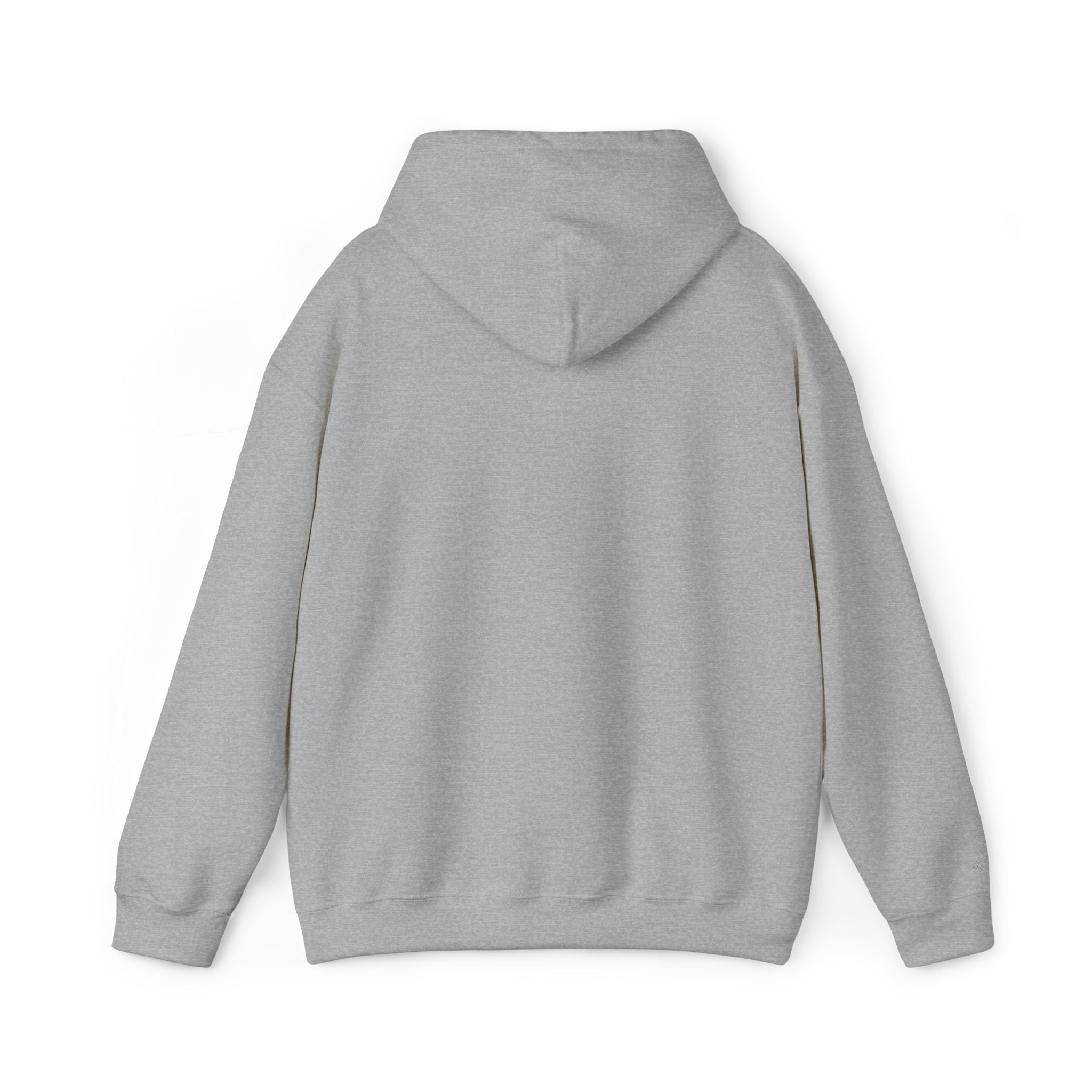 Salt of the South logo Embroidered Hoodie